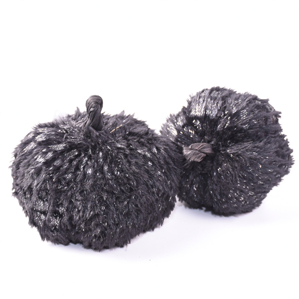 Explorer l'histoire effrayante du Black Pumpkin