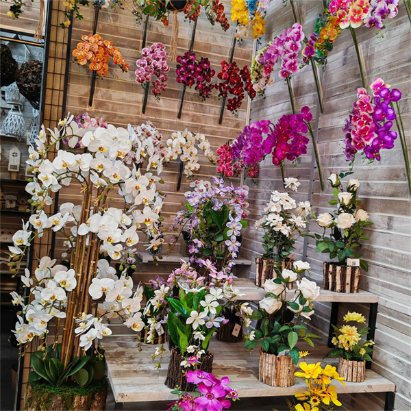 L'Aspetto Realistico delle Phalaenopsis Artificiali per Qualsiasi Ambiente