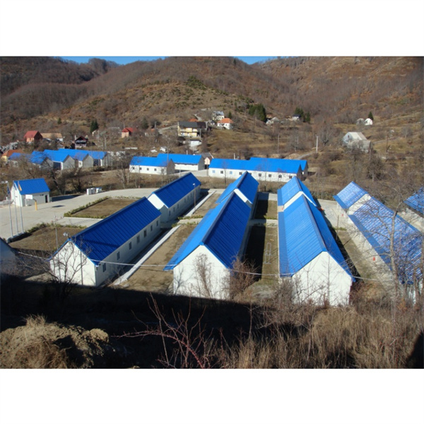 Առաջատար կոնտեյների տուների արժեքավոր և միրգային դեգրանցումները