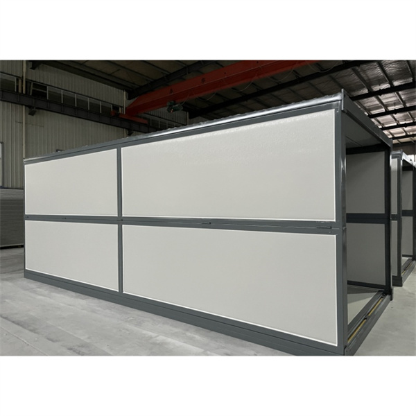 Case Prefabbricate Economiche e Chic per l'Acquirente Attento al Design di Oggi
