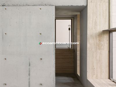Innovative Uses of Cement Board in Modern Architecture