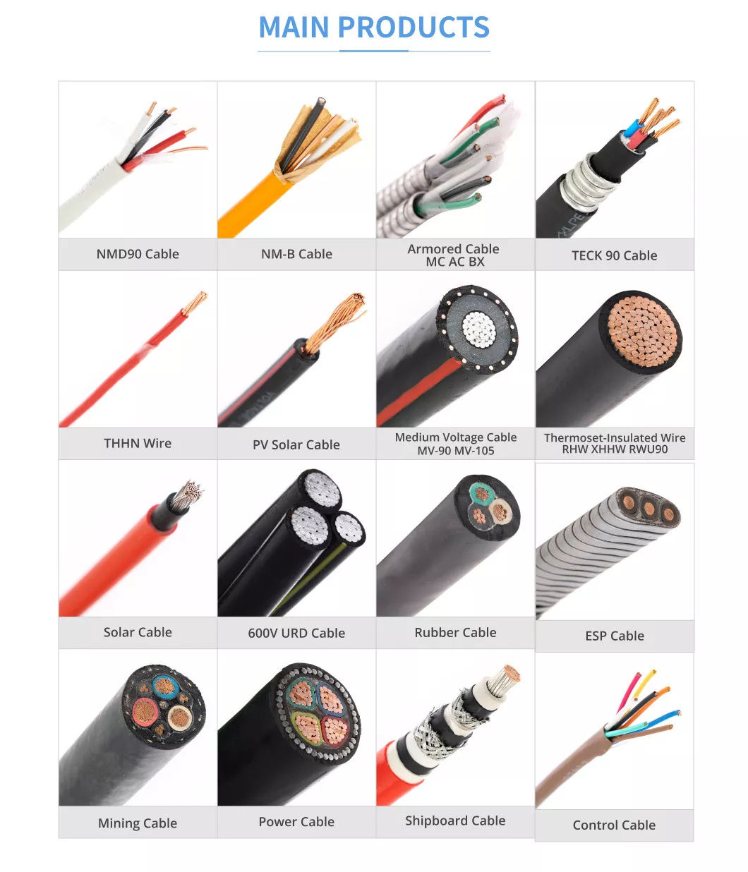 MAIN PRODUCTS.JPG