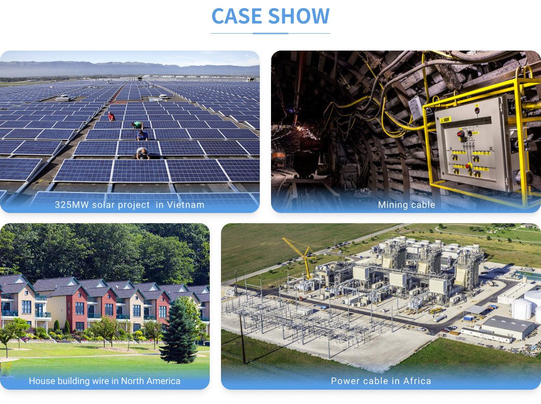 7 case show