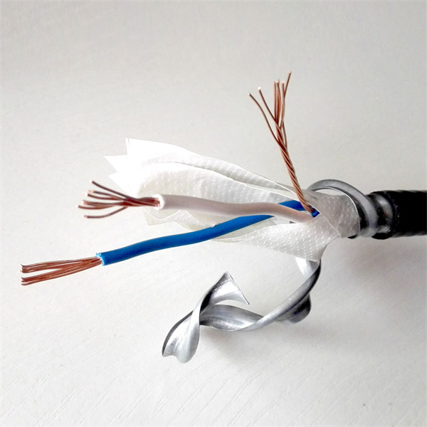 電線タイプの包括的なガイド
