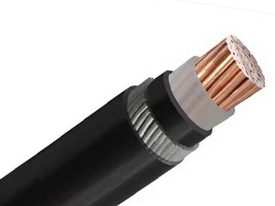 電力網における導体の強度が重要な理由