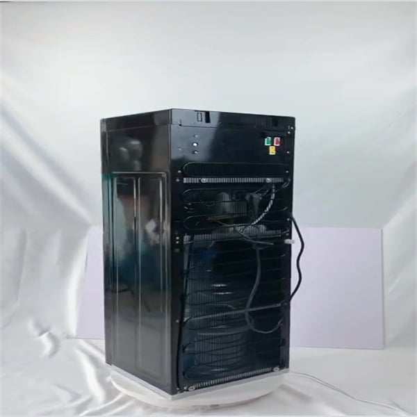 Ion Water Dispenser