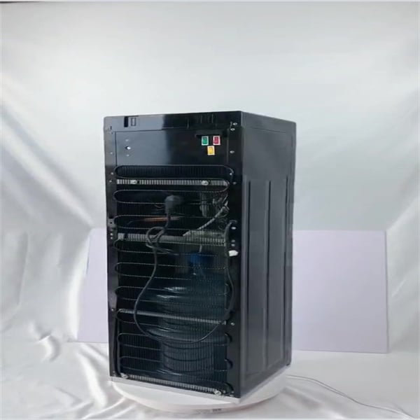 Ion Water Dispenser