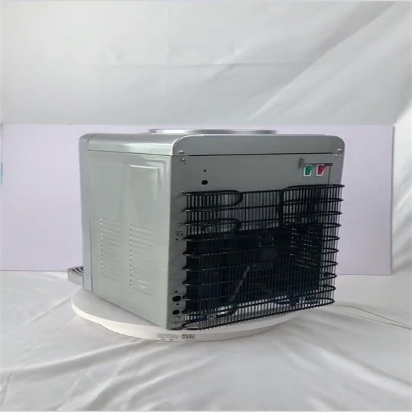 Save Your Money and Get a Cheap Ice Maker Today!
