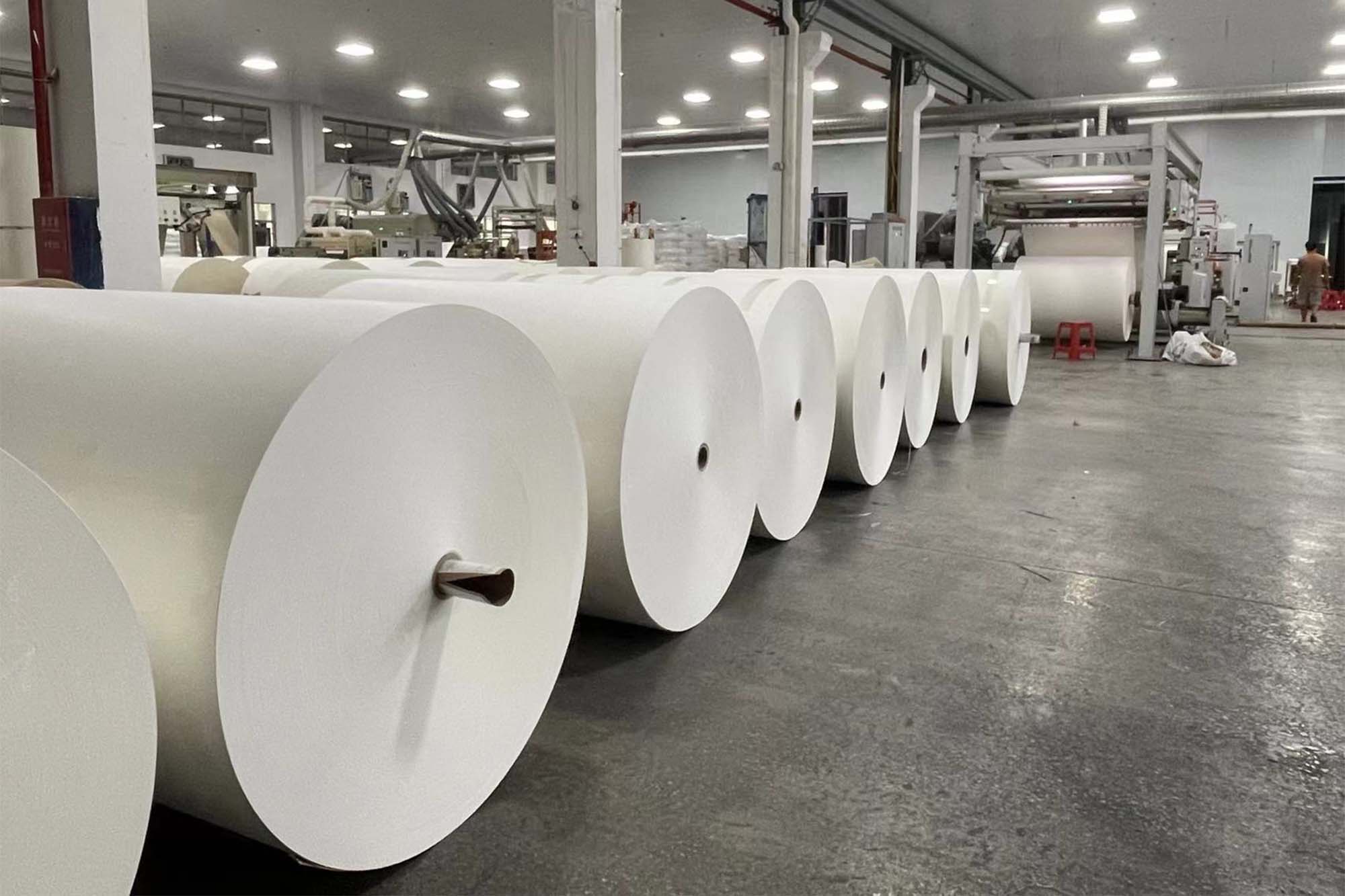 Màquina per a la fabricació de matèria prima de paper cup