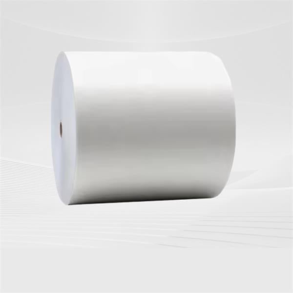 Superior Printability and Vibrant Colors on PE Coated Paper