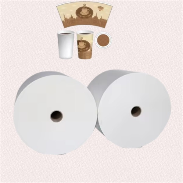 Trusted Partner for In-Depth Knowledge and Expertise in Paper Cup Raw Materials