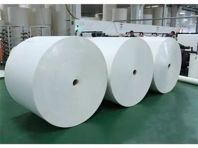 適切な紙コップ用ロールを選ぶ：製造業者のチェックリスト