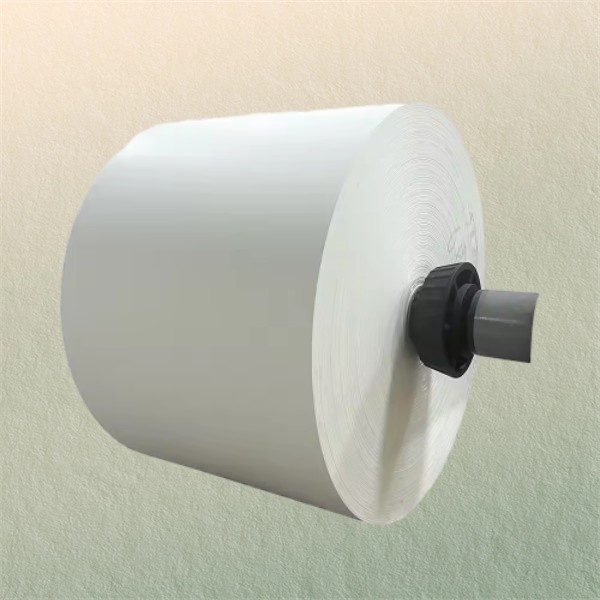 Eco-Friendly and Biodegradable Options Available