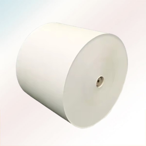 Os Diferentes Tipos de Matérias-Primas Usadas para Fabricação de Copos de Papel.