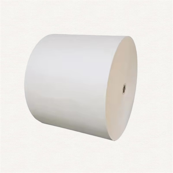 PE Coated Cups Bring Style to Any Setting