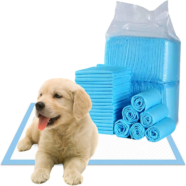 Cung cấp một bề mặt sạch sẽ và vệ sinh cho thú cưng của bạn làm việc của nó