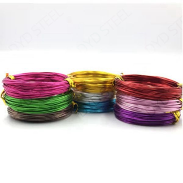 Destacats de la placa d'acer rodona