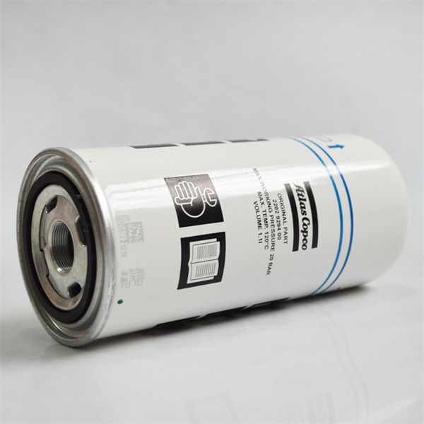 Regularly inspect the drain valve for obstructions or leaks that would obstruct proper drainage.