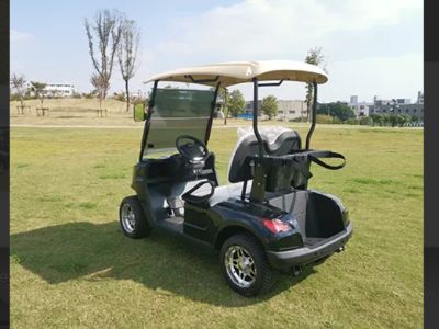 Best Electric Golf Carts for Resorts, Parks, and Communities
