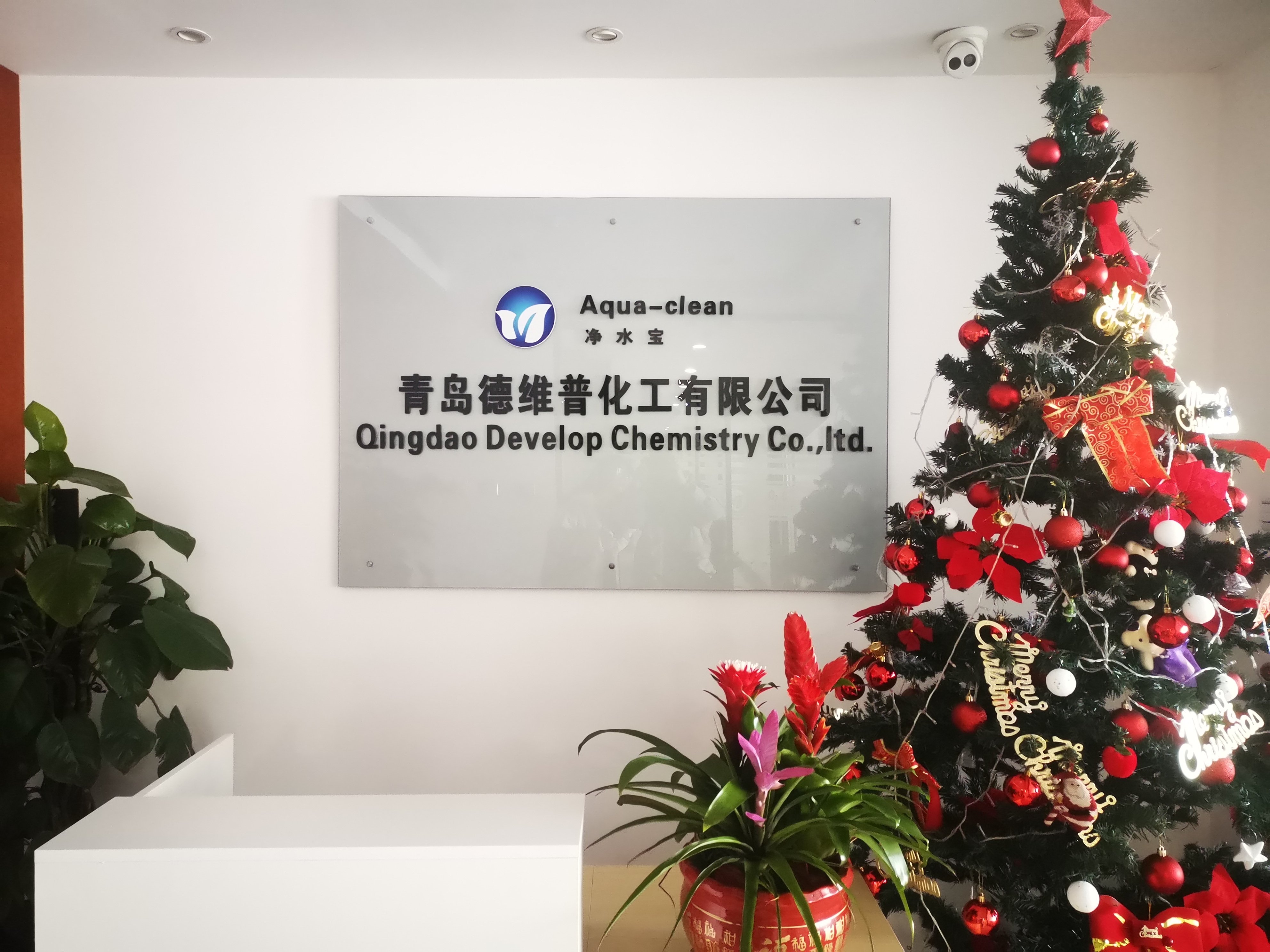 PH Sodium Bisulfate Sodium Hydrogen Sulfate supplier