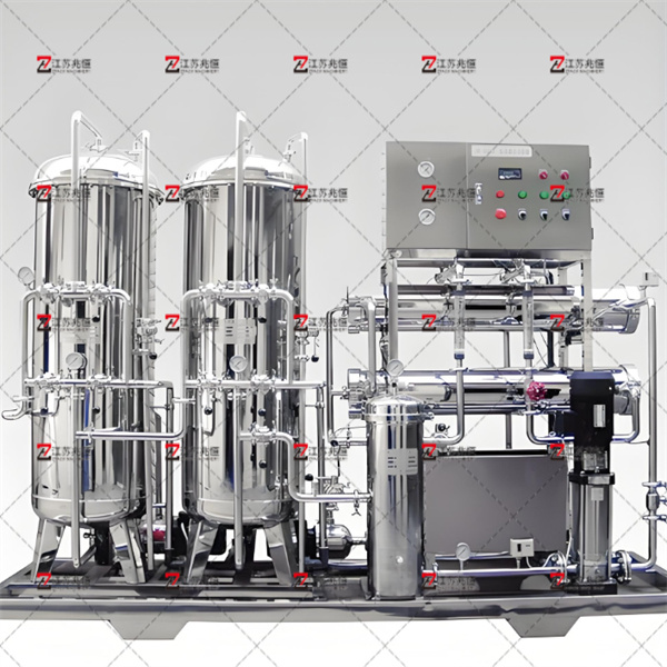 Erfüllen Sie Branchenstandards mit ultrareinem Wasserreinigung