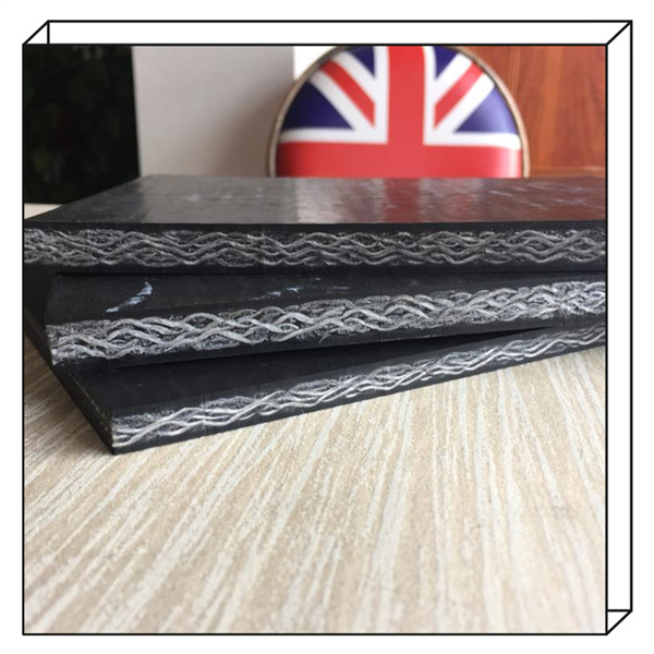 Cost-effective and reliable transportation with PVG 2500S conveyor belt.