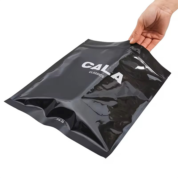 The Small Bag Pouch