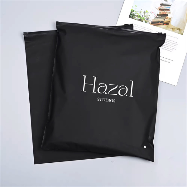 Protect Your Clothing with Secure Bag Storage Solutions