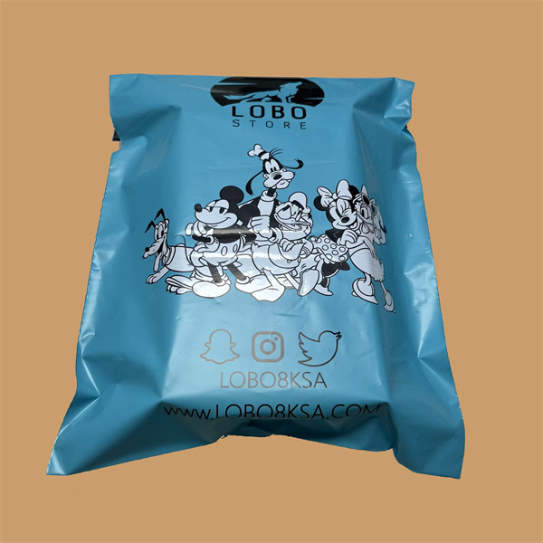 Maximize Your Shipping Capacity with the Large Bag Advantage