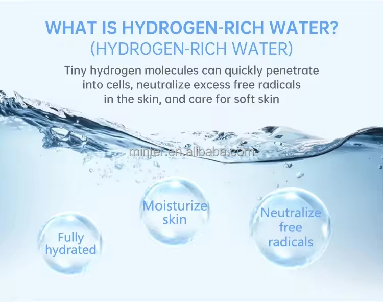 Portable Nano Sprayer Hydrogen Water Rechargeable Electric Ion Nano Facial Mist Sprayer manufacture
