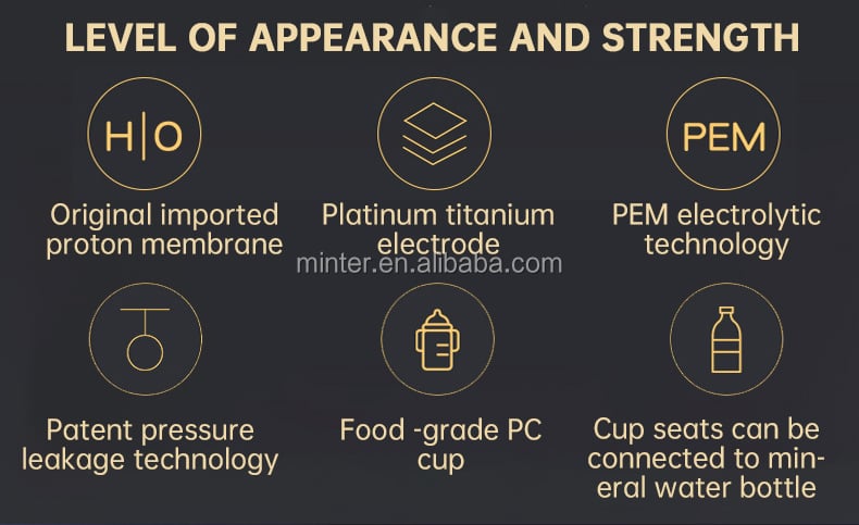 Hot Sale 6000ppb Healthy Water Equipment SPE High Hydrogen Rich Water Hydrogen Water factory