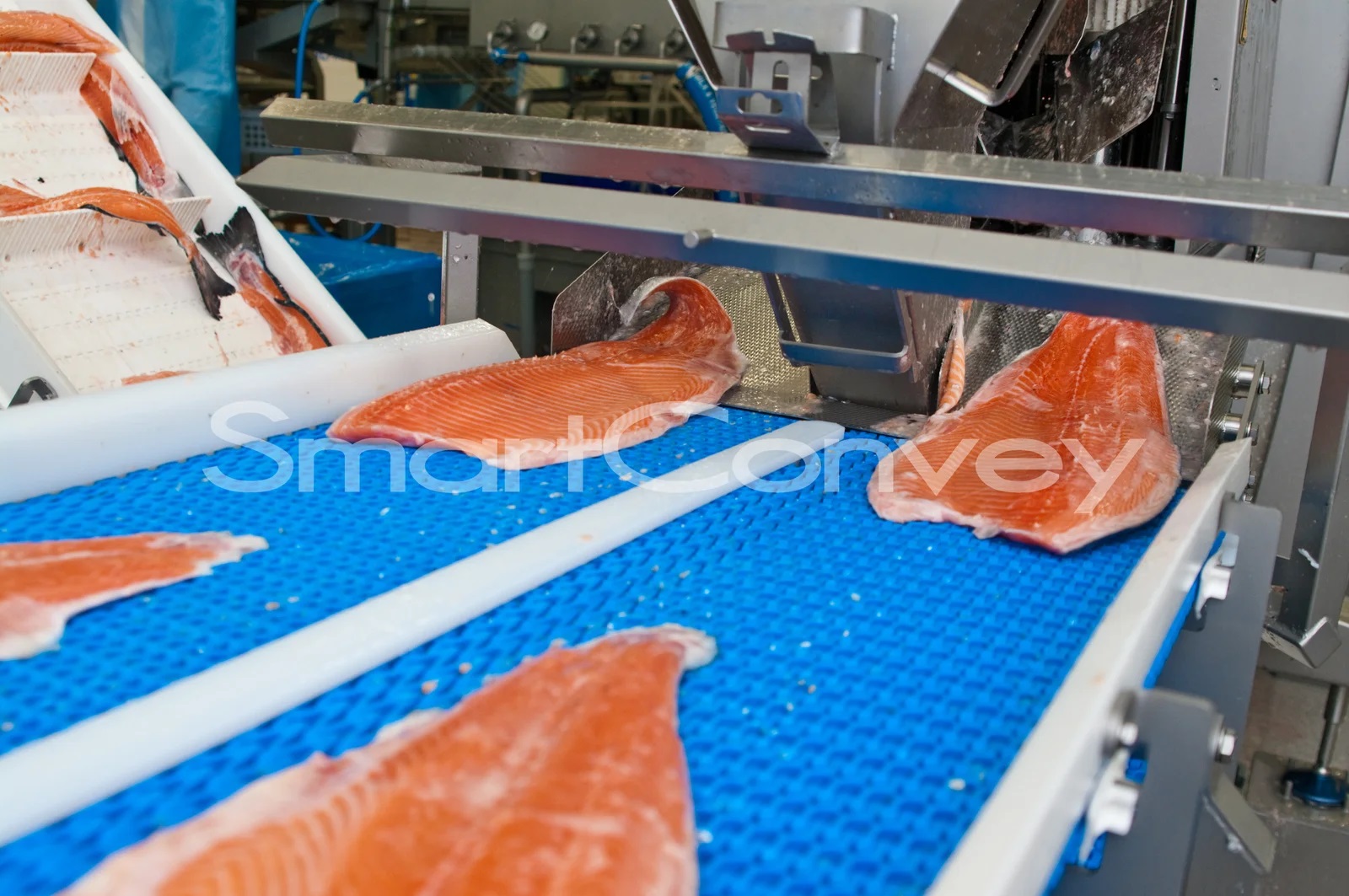 3. Meat & Seafood Industry (2) 3. Meat & Seafood Industry (2)