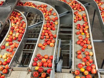 How Conveyor Belt for Food Industry Handles Product Flow