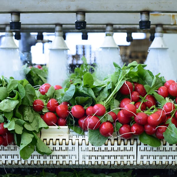 Safety of Conveyor Belts for The Food Industry