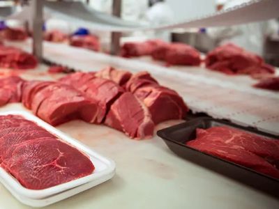 What Makes a Conveyor Belt for Food Industry Different