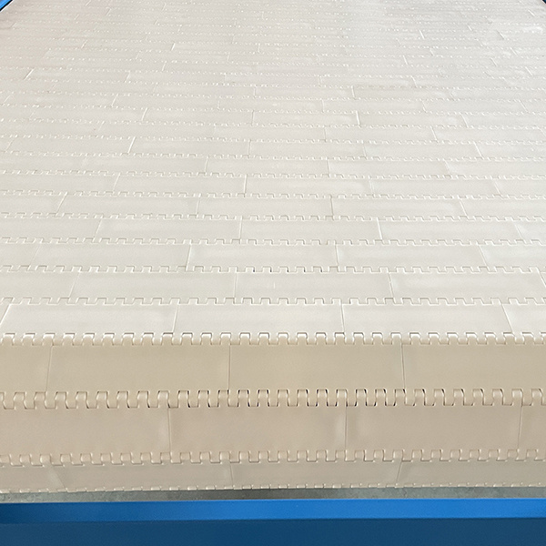 Using A Plastic Belt Conveyor System