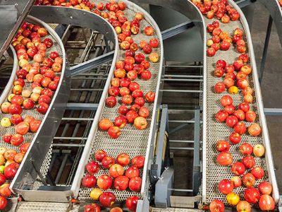 Maintenance Tips for Flexible Motorized Conveyors