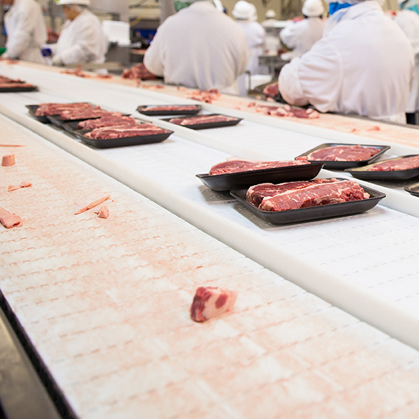 Safety of Food Industry Conveyor Systems