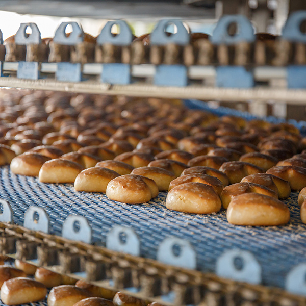 Service and Quality of Food Industry Conveyor Systems