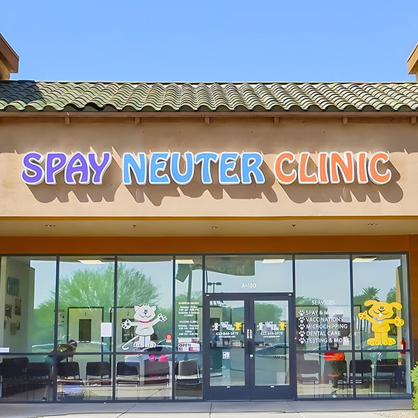 Maximizing Your Marketing Potential with Store Signs