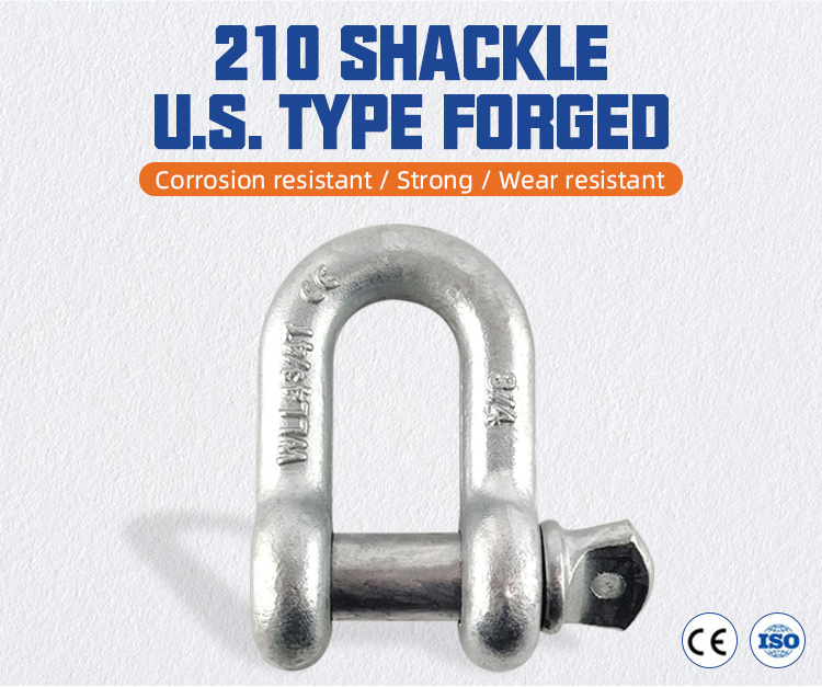 G210 Carbon Steel Safety Lifting Dee Screw Pin Galvanized Shackle Price manufacture