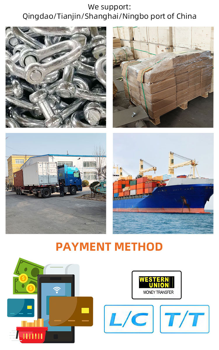 US Type G209 Bow Forged Galvanized Shackle details