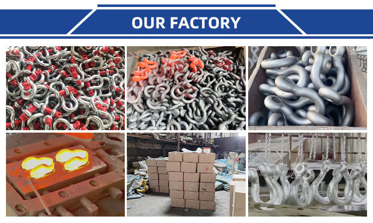 US Type G209 Bow Forged Galvanized Shackle factory