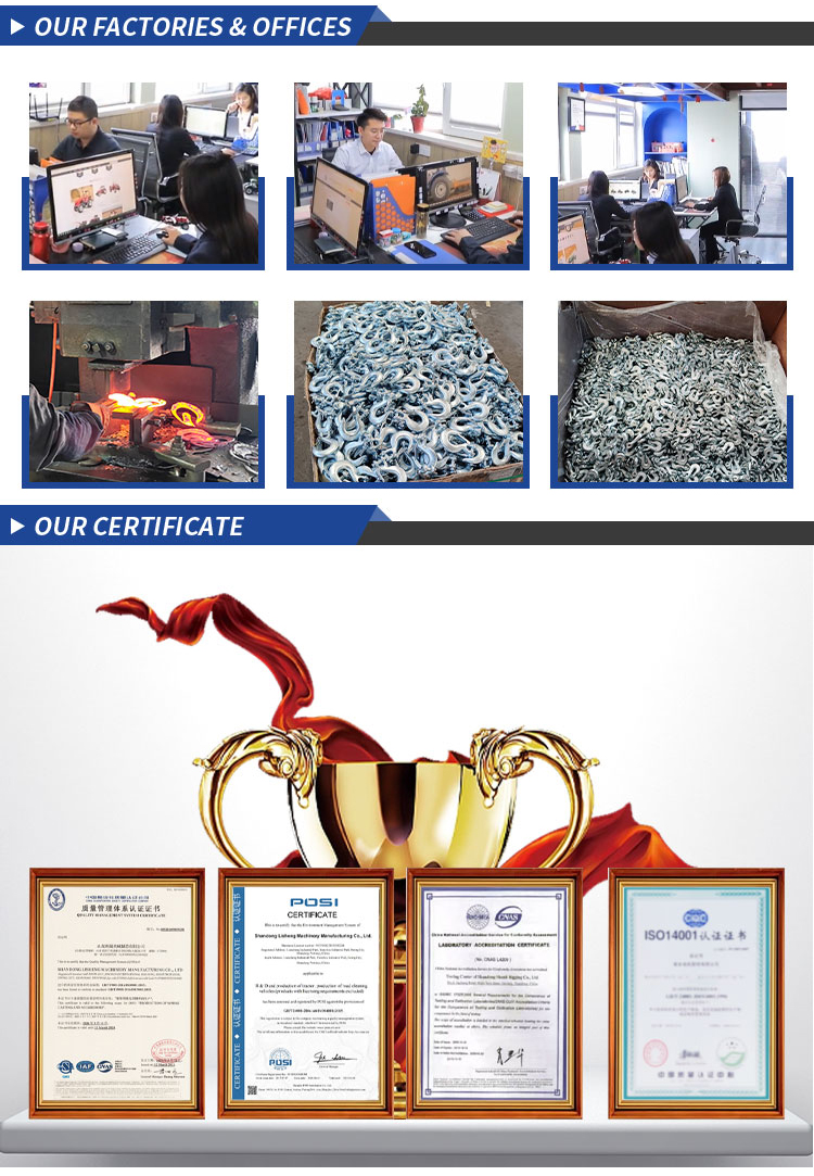 SS304 SS316 US Type 320 A/C Safety Latch Crane Hook details