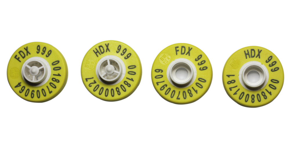 what is ear tags and why you need it -3