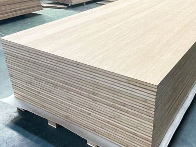 Why Architects Choose Bamboo Plywood Panels As Sustainable Building Material