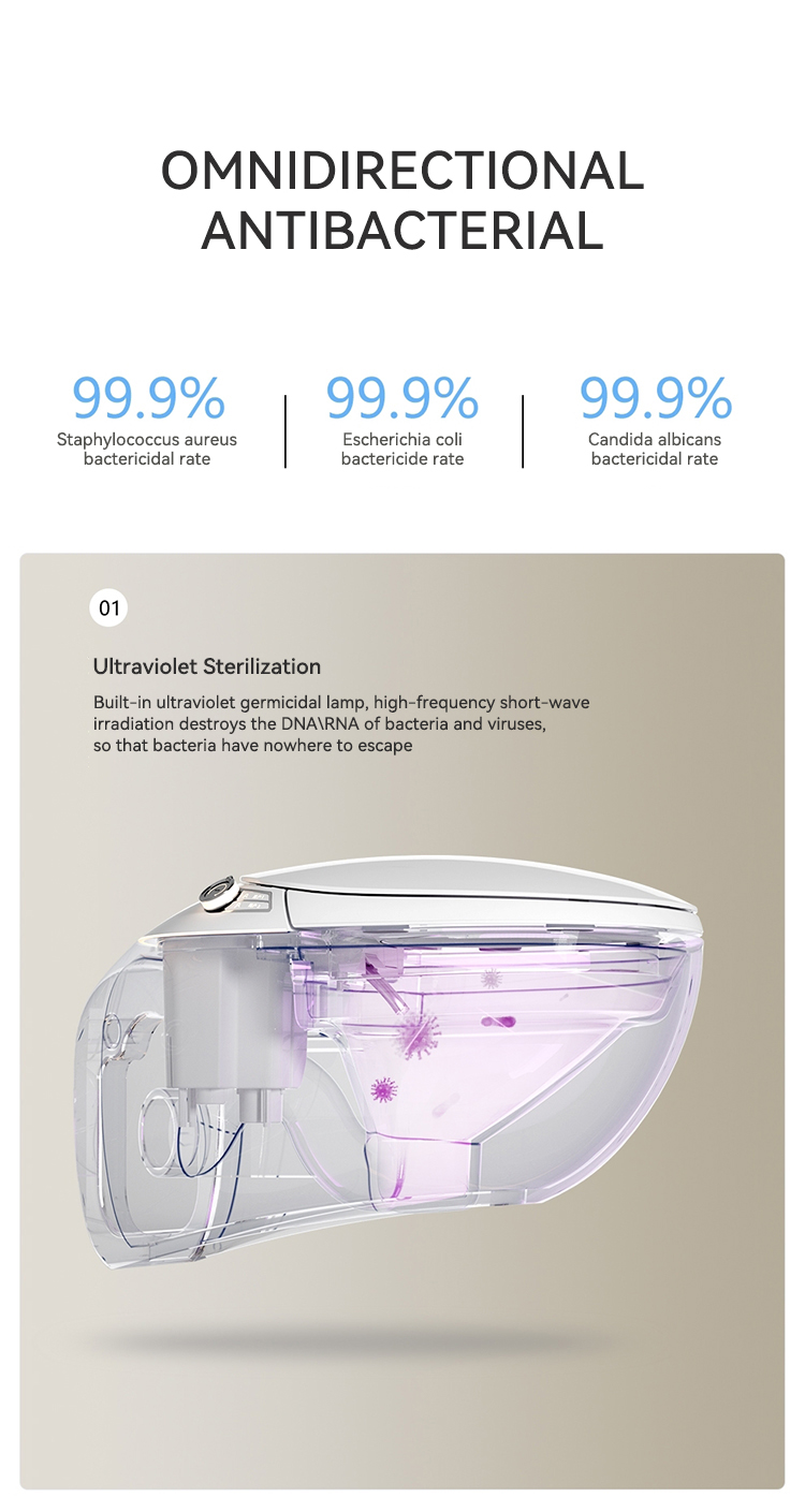 Modern Style Wall Hung Bathroom Smart Toilet Bidet Automatic Flush Intelligent Closestool Bathroom Smart Toilets factory
