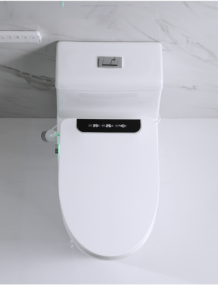 New arrival 110V/220V intelligent heated automatic toilet seat bathroom accessories smart toilet seat cover details