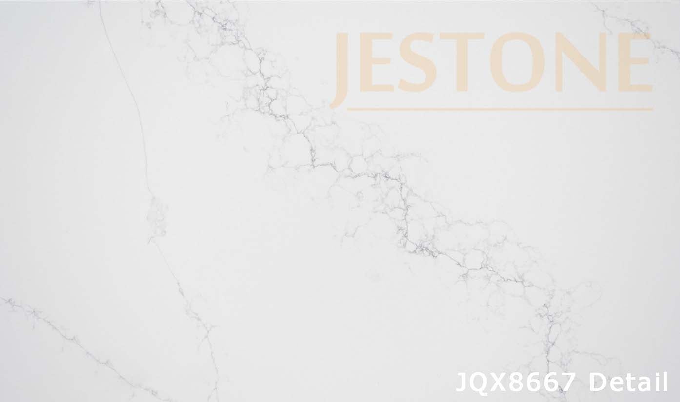 JQ8667detail