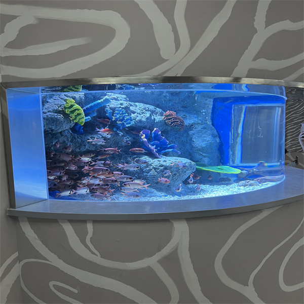 Tips and Tricks for Maintaining Your Custom Acrylic Fish Tank